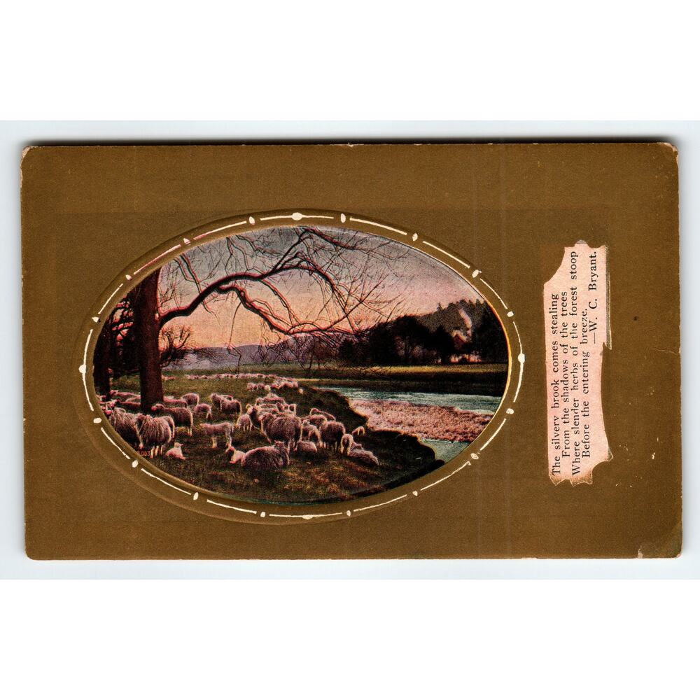 Vintage Sheep by Silver Brook Scenic Postcard W.C. Bryant Quote